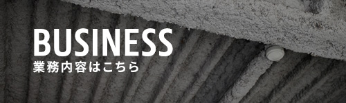 bnrhalf_business_off